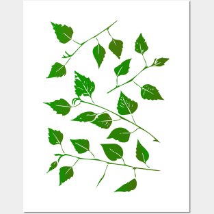 Birch Tree Leaf and Stem Forest Pattern Posters and Art